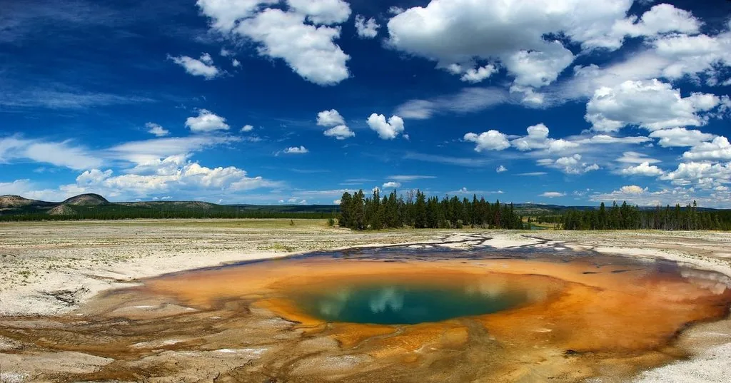 From Jackson: Yellowstone National Park Day Trip with Lunch