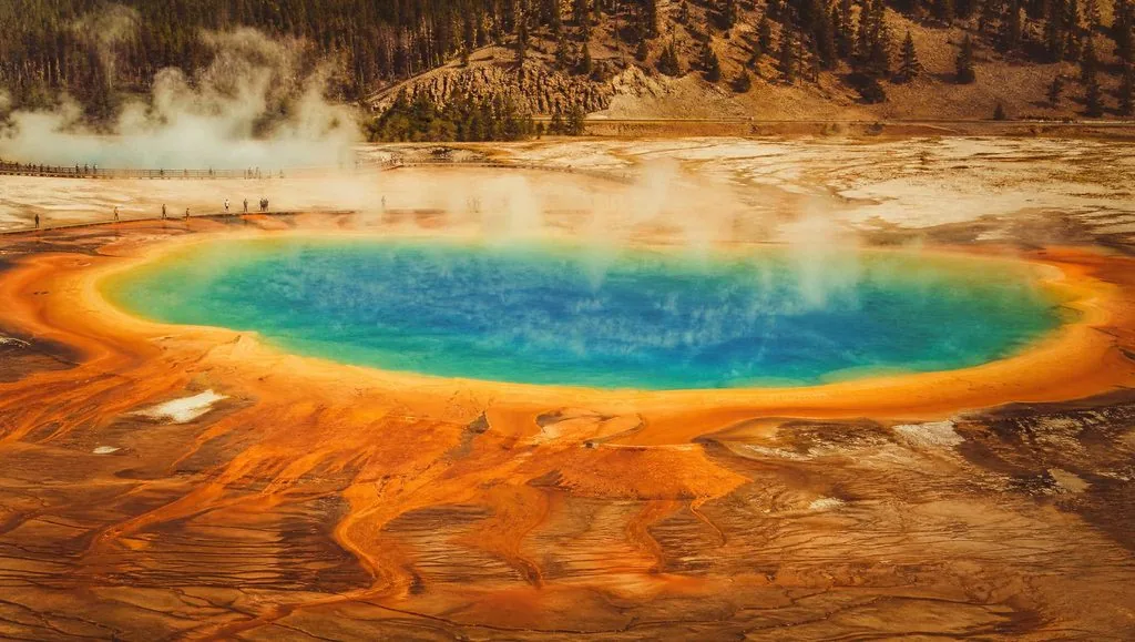 Grand Prismatic Spring thermal basin